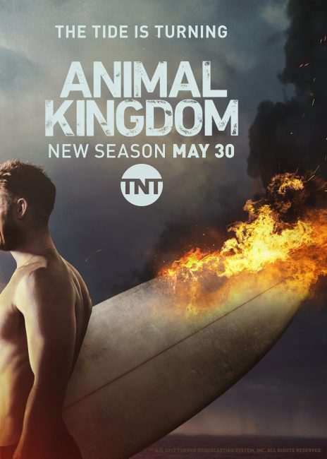 مشاهدة مسلسل Animal Kingdom الموسم الثاني الحلقة 13 والاخيرة مترجمة
