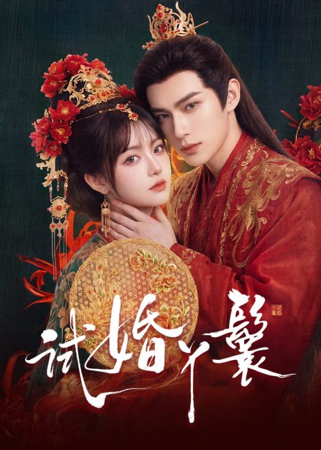 مشاهدة مسلسل خادمة المحاكمة The Trial Handmaiden الحلقة 5 مترجمة