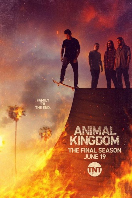 مشاهدة مسلسل Animal Kingdom الموسم السادس الحلقة 11 مترجمة