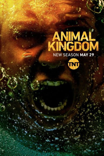 مشاهدة مسلسل Animal Kingdom الموسم الثالث الحلقة 4 مترجمة
