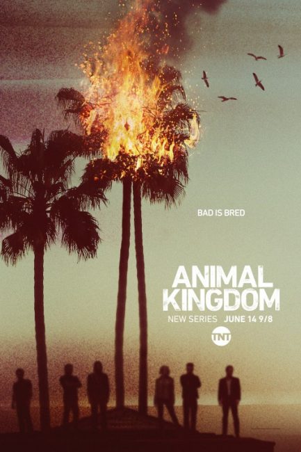 مشاهدة مسلسل Animal Kingdom الموسم الاول الحلقة 2 مترجمة