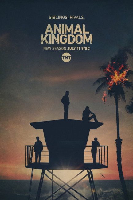 مشاهدة مسلسل Animal Kingdom الموسم الخامس الحلقة 10 مترجمة
