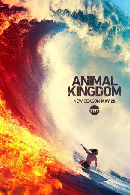 مشاهدة مسلسل Animal Kingdom الموسم الرابع الحلقة 10 مترجمة