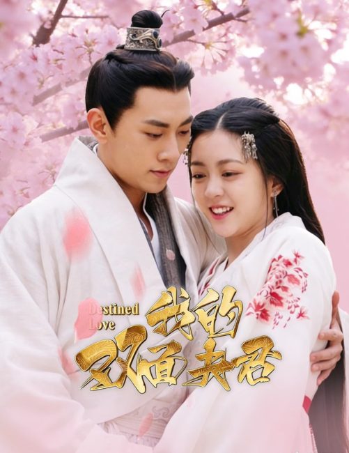 مشاهدة مسلسل الحب المقدر Destined Love الحلقة 14 مترجمة